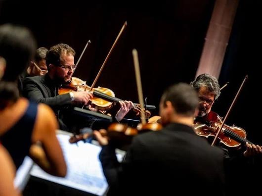Solistas de Am&eacute;rica llevar&aacute; las serenatas de Mozart, Elgar y Tchaikovsky a Autl&aacute;n y Ciudad Guzm&aacute;n