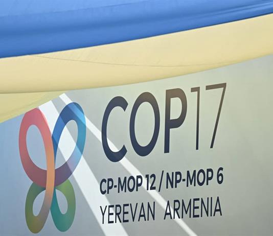 Arranca la COP17 de biodiversidad con una meta: proteger mejor la naturaleza