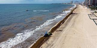 Altos costos y sargazo ponen en alerta a Tulum, joya tur&iacute;stica del Caribe mexicano