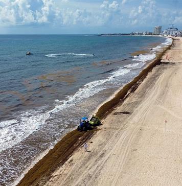Altos costos y sargazo ponen en alerta a Tulum, joya turística del Caribe mexicano Altos costos y sargazo ponen en alerta a Tulum, joya turística del Caribe mexicano