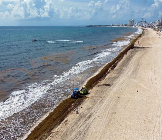 Altos costos y sargazo ponen en alerta a Tulum, joya tur&iacute;stica del Caribe mexicano