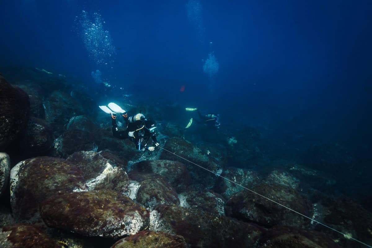 Frente a Madeira, científicos en la primera línea de la protección de los océanos Frente a Madeira, científicos en la primera línea de la protección de los océanos