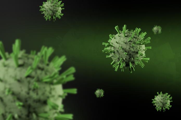 El Shamonda, un virus que da el salto al ser humano El Shamonda, un virus que da el salto al ser humano