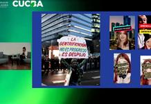 Hacer TikToks sí puede ser labor académica: Carla Escoffié
