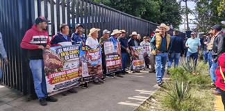 Bajo precio del maíz y apoyos pendientes asfixian al campo Bajo precio del maíz y apoyos pendientes asfixian al campo