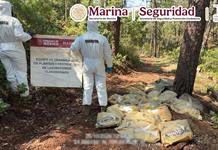 Aseguran más de 1.5 toneladas de metanfetamina en Durango Aseguran más de 1.5 toneladas de metanfetamina en Durango