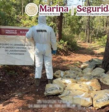 Aseguran más de 1.5 toneladas de metanfetamina en Durango Aseguran más de 1.5 toneladas de metanfetamina en Durango