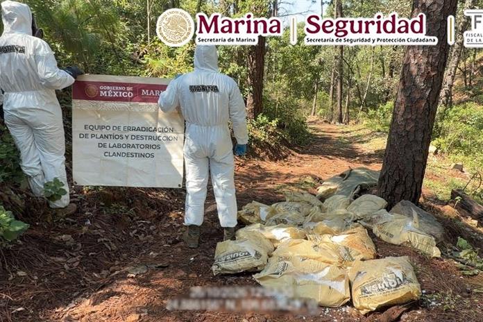 Aseguran más de 1.5 toneladas de metanfetamina en Durango Aseguran más de 1.5 toneladas de metanfetamina en Durango