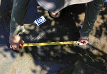 Hallan en México huellas de tiranosaurios de hace 65 millones de años Hallan en México huellas de tiranosaurios de hace 65 millones de años