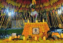 Ocotlán da inicio a sus celebraciones del día de muertos con altar dedicado a mascotas Ocotlán da inicio a sus celebraciones del día de muertos con altar dedicado a mascotas