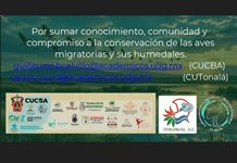 Desaparecen 22% de los humedales y alertan por la ca&iacute;da de aves migratorias