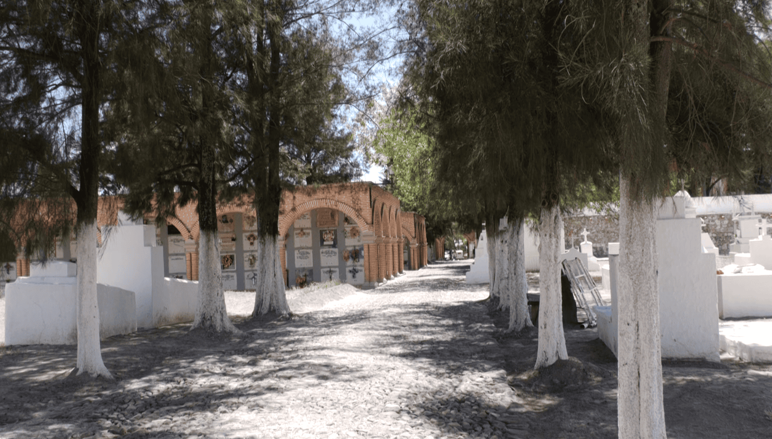 Concurso “Ofrenda de Luz y Memoria” se llevará a cabo este viernes 30 de octubre