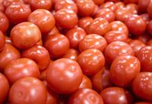 México afirma que la cuota de Estados Unidos al tomate elevó los precios en ese país