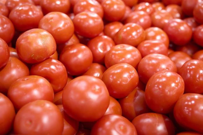 México afirma que la cuota de Estados Unidos al tomate elevó los precios en ese país México afirma que la cuota de Estados Unidos al tomate elevó los precios en ese país