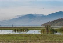 Piden desde el Congreso que la CFE y Semarnat expliquen impacto ambiental de Planta de Energía en Acatlán Piden desde el Congreso que la CFE y Semarnat expliquen impacto ambiental de Planta de Energía en Acatlán