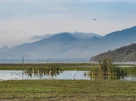 Piden desde el Congreso que la CFE y Semarnat expliquen impacto ambiental de Planta de Energía en Acatlán Piden desde el Congreso que la CFE y Semarnat expliquen impacto ambiental de Planta de Energía en Acatlán