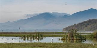 Piden desde el Congreso que la CFE y Semarnat expliquen impacto ambiental de Planta de Energ&iacute;a en Acatl&aacute;n