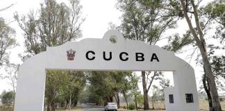 Localizan a otra persona sin vida en una brecha cercana al CUCBA Localizan a otra persona sin vida en una brecha cercana al CUCBA