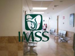 Auditarán al IMSS Jalisco por muerte de bebés en el Centro Médico Auditarán al IMSS Jalisco por muerte de bebés en el Centro Médico