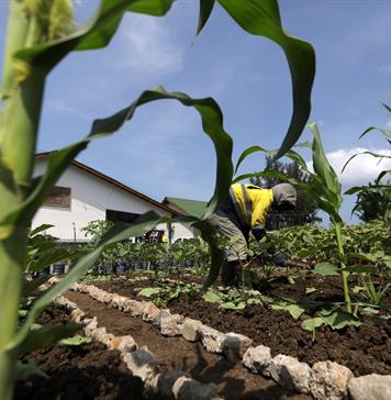 El 58 % de productores del campo en México sufrió pérdidas por factores climáticos en 2025 El 58 % de productores del campo en México sufrió pérdidas por factores climáticos en 2025